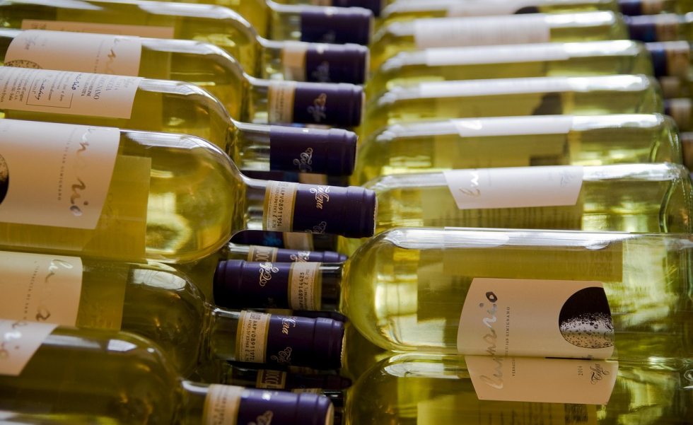 Leilão de Vinhos Solidário | Casa Sul