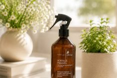 Peppermint: ativa os sentidos por meio de uma identidade mentolada e pungente. Indicada para home offices, a hortelã-pimenta desperta o foco matinal. Produto: Home spray da Perfuma & Decora.